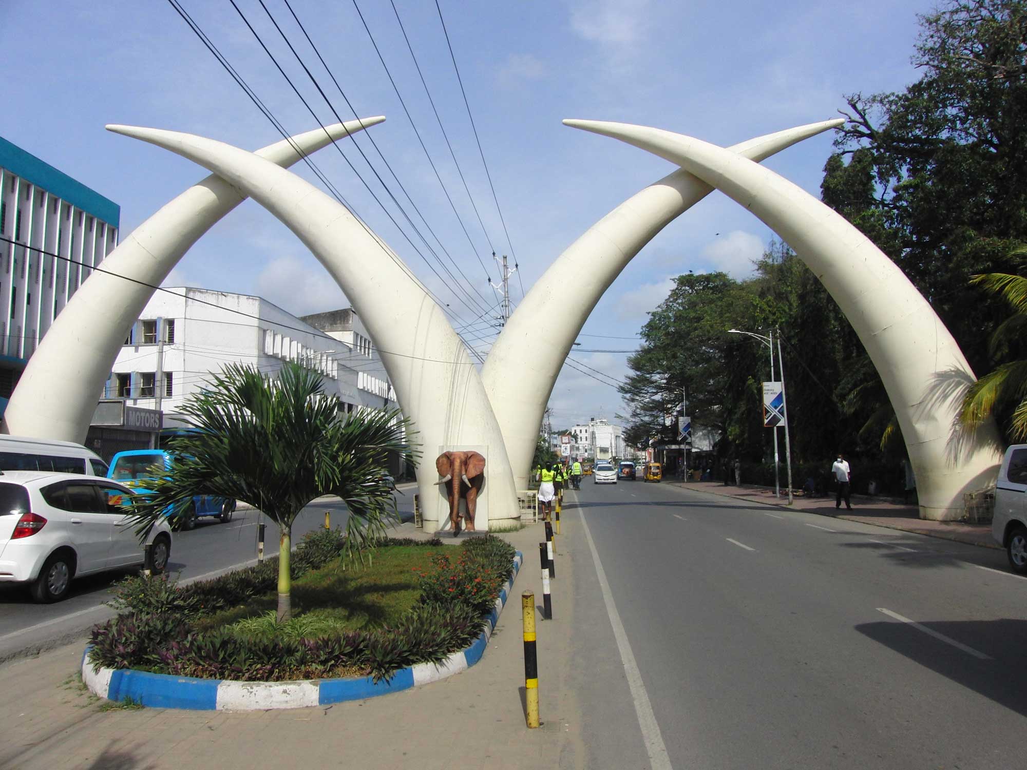 Safariveranstalter - Kenia-Safaris