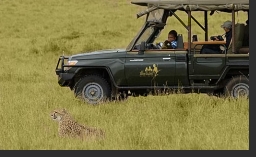 Masai Mara Pirschfahrt
